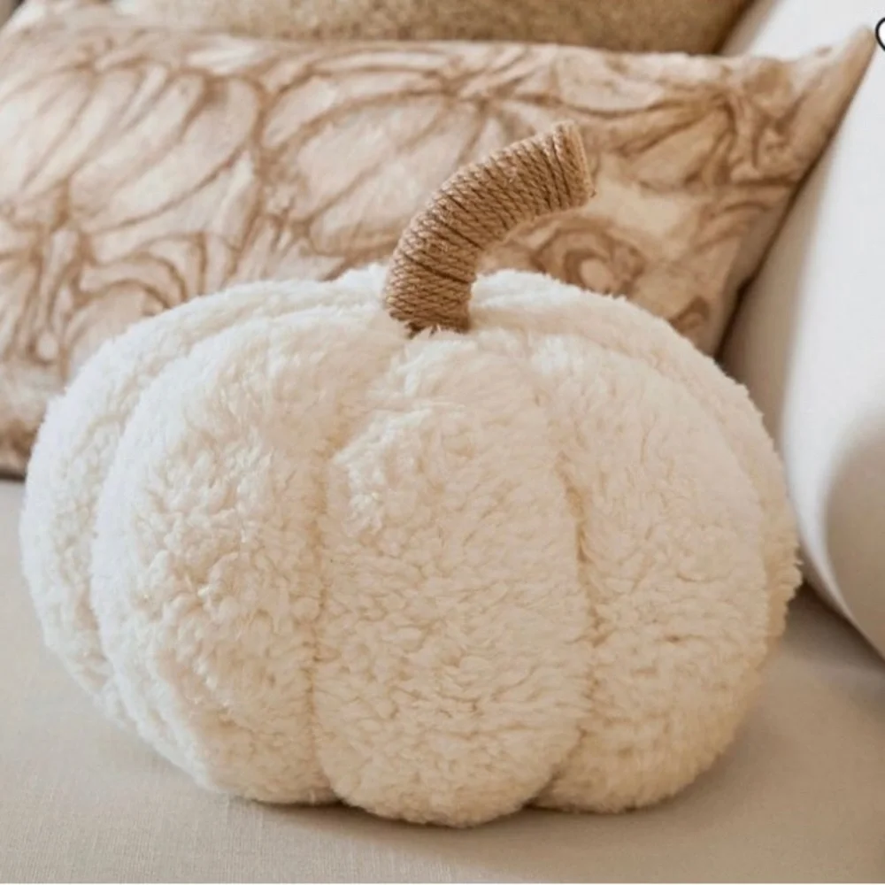 Pottery Barn Ivory Pumpkin Pillow - Picture 5 of 8